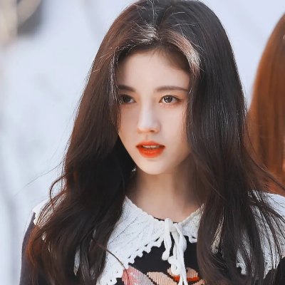 几度菊花香